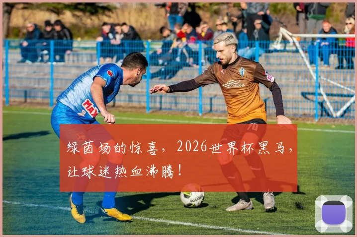 绿茵场的惊喜，2026世界杯黑马，让球迷热血沸腾！