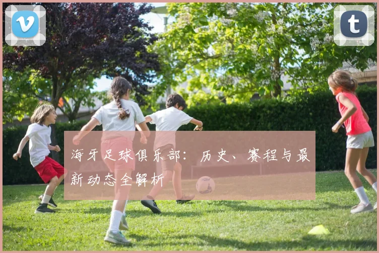 海牙足球俱乐部：历史、赛程与最新动态全解析