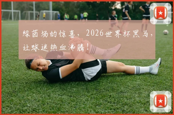 绿茵场的惊喜，2026世界杯黑马，让球迷热血沸腾！