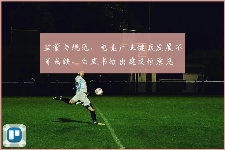 监管与规范，电竞产业健康发展不可或缺，白皮书给出建设性意见
