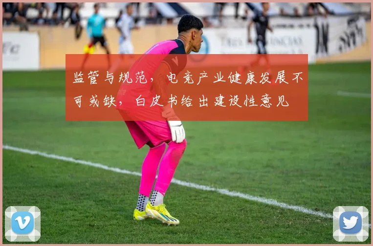 监管与规范，电竞产业健康发展不可或缺，白皮书给出建设性意见